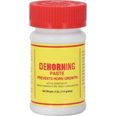 Enthornungspaste für Rinder – Lösung zur Enthornung von Nutztieren – Produkt zur Hornentfernung (1/5)
