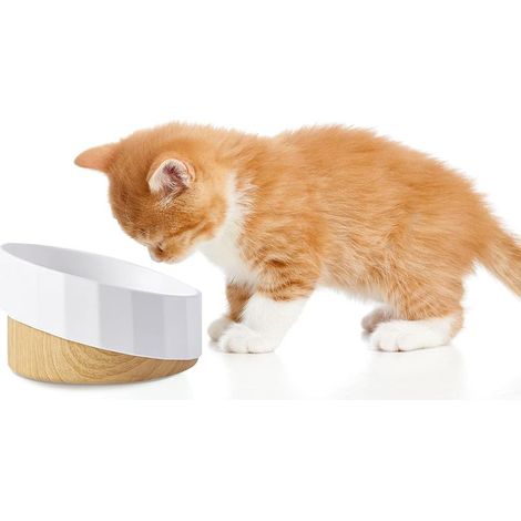 Gamelle Chat , Gamelle Surélevée pour Chat et Chien, Bol de Nourriture pour Animaux de Compagnie Décoratif/Antidérapant/Anti-vomissements, Distributeur de Croquettes pour Chats et Petits Chiens-Fei Yu (1/4)