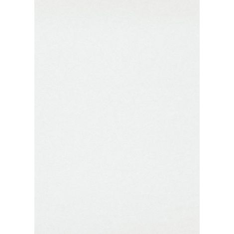 Erismann Glatte Wand Profi-Vlies weiß 25 x 0,75 m Wandtapete