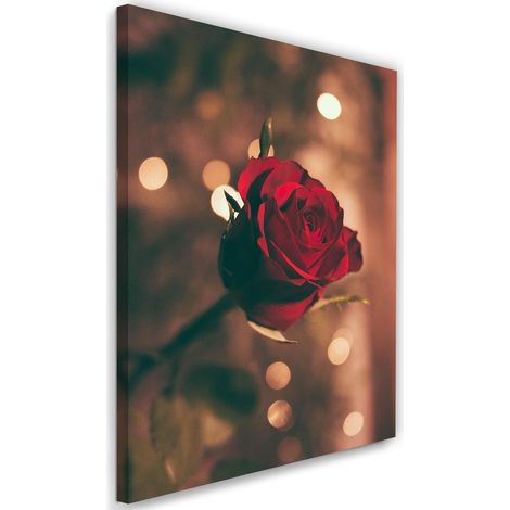 Tableau décoratif Rose rouge Fleur Nature 40x60 (1/5)