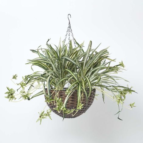 HOMESCAPES Artificial Hanging Basket Spider Plant, 60 cm
