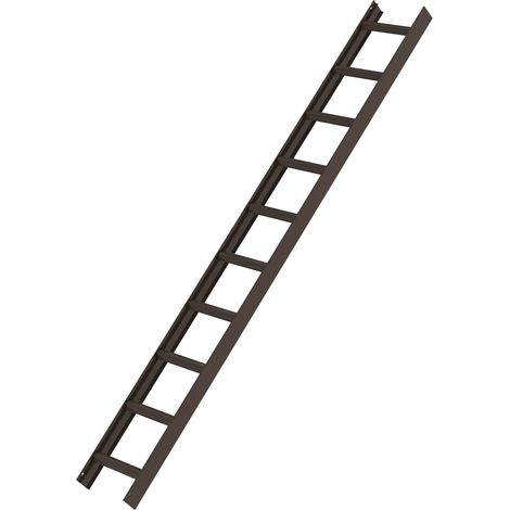MUNK Aluminium Dachleiter 10 Sprossen braun