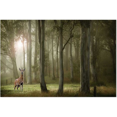 Affiche Daim en forêt - 60x40cm - made in France (1/5)