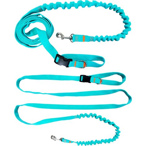 Laisse pour chien avec absorbeur de choc 280 cm Menthe Réglable Sport (1/5)