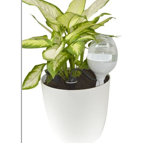 Reserve Decorative 70cl Blanc