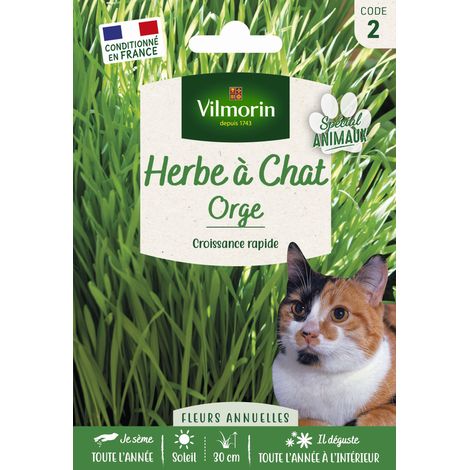 Graines d'herbe à chat Orge – Pour tous types de sols – Hauteur 50 cm – Prévention des boules de poils – Vilmorin (1/5)