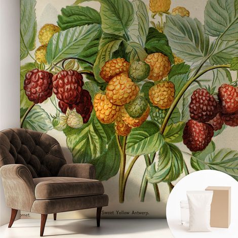 Carta Da Parati Non Tessuto - Con Colla Gratuita - Con Motivi Moderni - Design Elegante Per Pareti Lamponi classici 250x250 cm (1/5)
