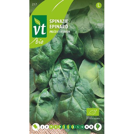 Bio Épinard Palco F1 Hybride - Ca. 10 gr (Livraison Gratuite) (1/2)