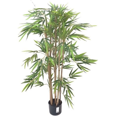 Pianta di Bamboo ornamentale 140 cm. 560 foglie