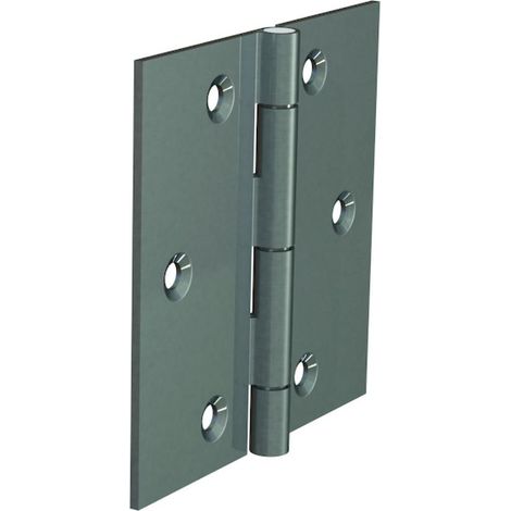 Charnière Havraise acier zingué 4270 60 x 40 mm - MONIN