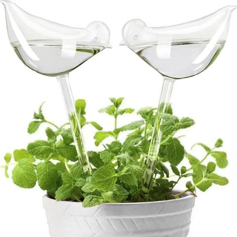 Une boule d'arrosage transparente et écologique permet d'observer facilement le niveau d'eau, ce qui en fait un choix idéal pour les orchidées et les herbes aromatiques (1/5)