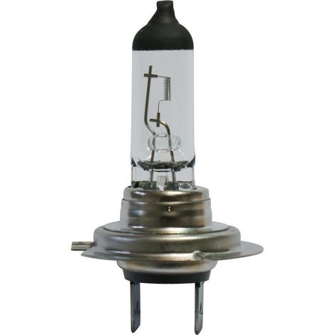 Ampoule H7 - 12V 55W Px26d (1/8)