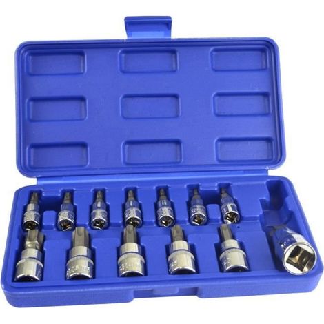 Douilles Torx inviolables - Professionnel - 13 pièces - Acier chrome-vanadium - 1/4 3/8 1/2 pouces