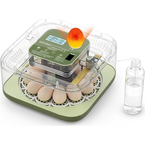 Incubator for Hatching Egg Auto Egg Turner Square Green Clear Viewing for Chicken Duck and Quail (1/2)
