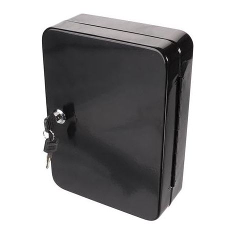 Perel Armoire à clés avec serrure cylindrique, 48 crochets, avec 2 clés, noir (1/5)