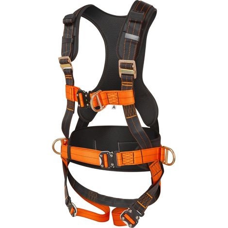 Harnais 3 points Ceinture Matelassée Anneau en D Dorsal (1/5)