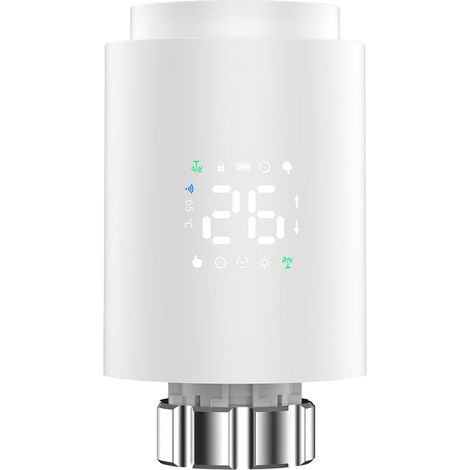 Vanne de Radiateur Thermostatique avec Adaptateur (1/5)