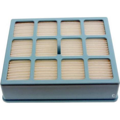 Filtre hepa EASYLIFE