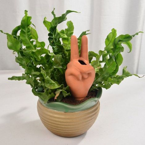 Arrosoir Automatique - Perméateur En Terre Cuite Forme V - Pour Plantes Intérieures Et Extérieures - 1 Pièce (1/4)