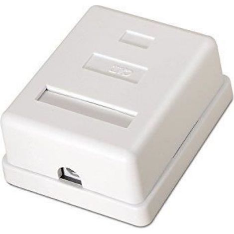 Roseta RJ45 - Prise Murale Cat6 UTP - Blanc - 1 Unité