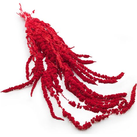 Amaranto estabilizado - Amaranto - Rojo