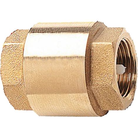 Clapet de retenue universel 3/4 12 bars - 105-20