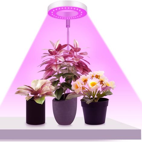 Lampe de croissance LED à spectre complet (48 LED), minuterie marche/arrêt automatique (3/9/12 h), idéale pour les petites plantes.-AquaForge (1/5)