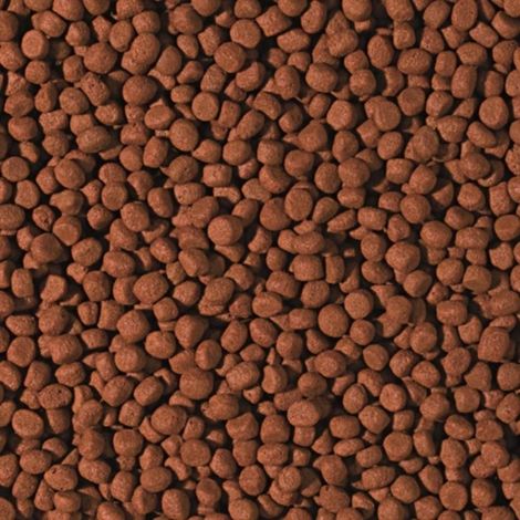 Tropical Cichlid Carnivore Medium Pellet - Formato: 1000 ml (1/2)