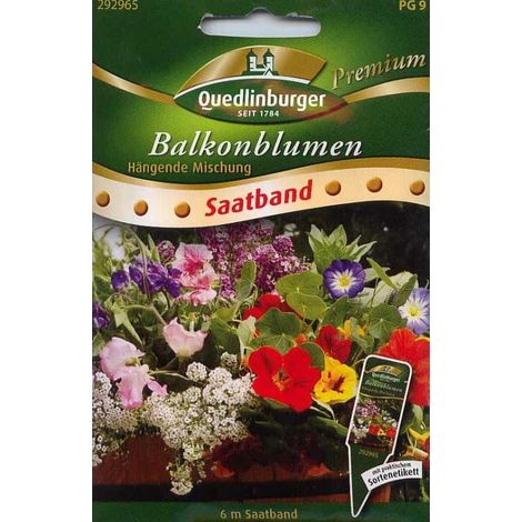 Quedlinburger Balkonblumen Hängende Mischung Saatband - Premium Blumensamen (1/2)