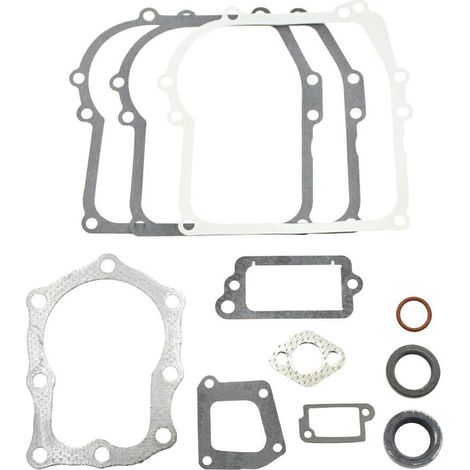 Serie guarnizioni Vecchi 4 HP verticali 110900, 113900, Max 110700 -320024
