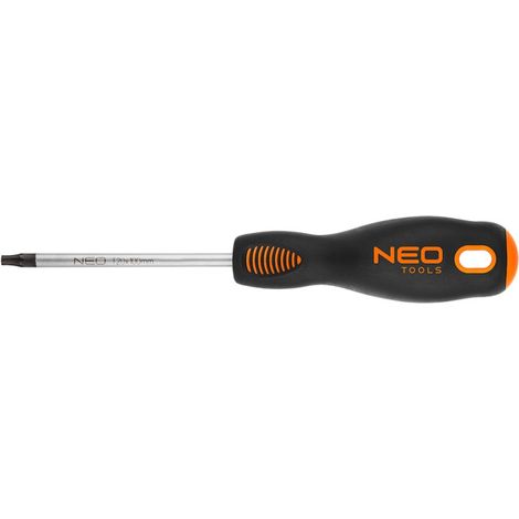 Tournevis Torx T20 x 100 mm, S2 (1/4)