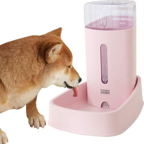 Mis Blue Automatischer Futter- und Wasserspender für Katzen (1/5)