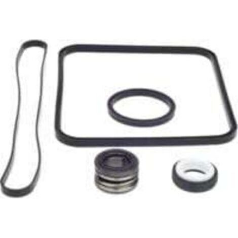 Joint de rechange pour pompe Super Pump pour kit Go compatible avec les modèles SP1600. SP2600 Regular. X. VSP. SPX1600TRA SP1600Z2 PS-201 SPX1600R SPX160 0S SPX1 600T Piscine (1/4)