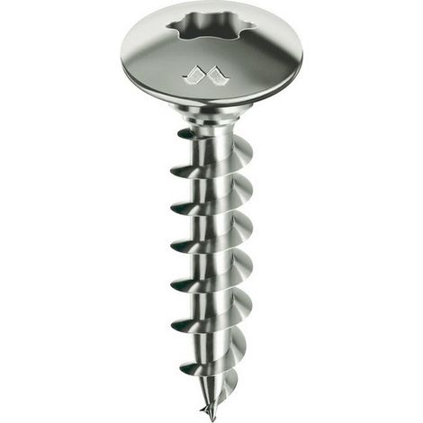 100PZ VITE PANELVIT« TORX FC LUBRIFICATA LUBEX« mm.6x 70