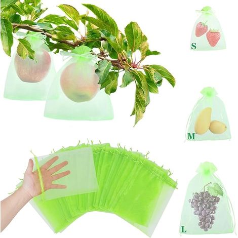 Sac de Protection de Raisins 50 Pièces 30x40CM Sac de Protection de Grappes avec Cordon, Sachets de Protection pour Plantes Fruits Contre Les Oiseaux et Insectes Guêpes Frelons (Vert) (1/5)