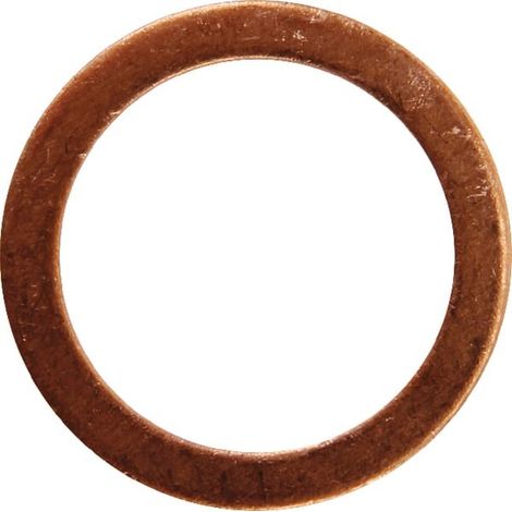 Bague d'étancheite CARRARO CI023268 (1/2)