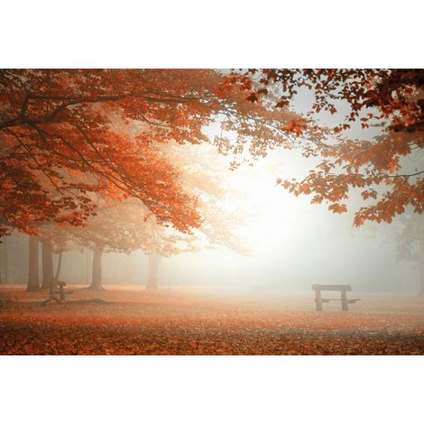 Papier peint panoramique arbre en automne | Tapisserie panoramique forêt marron & orange | Papier peint panoramique angle de mur - 384 X 260 cm (8 pièces) (1/2)