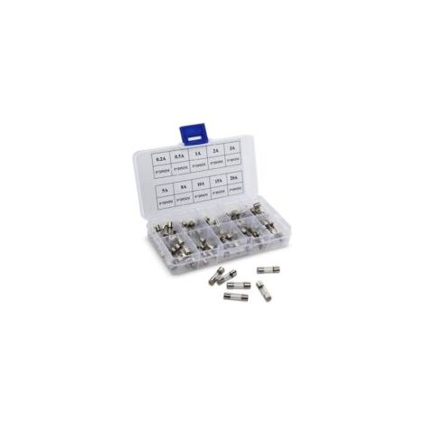 100 Glassicherungen 5x20mm in der Box, Sicherungen 0,2A, 0,5A, 1A, 2A, 3A, 5A, 8A, 10A, 15A, 20A - Crezuo