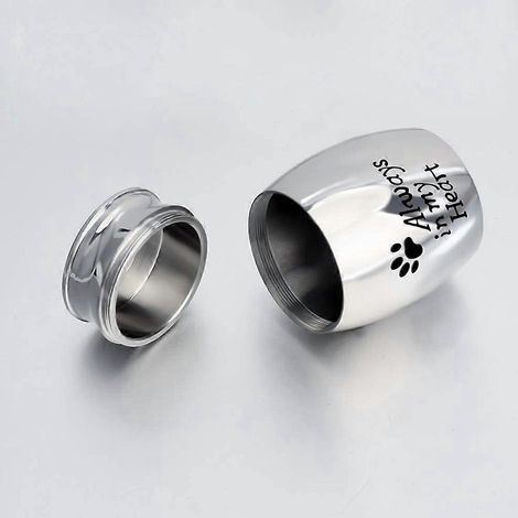 Urne funéraire pour animaux de compagnie en acier inoxydable, contenant commémoratif pour cendres de chien ou de chat, lieu de repos idéal (1/4)