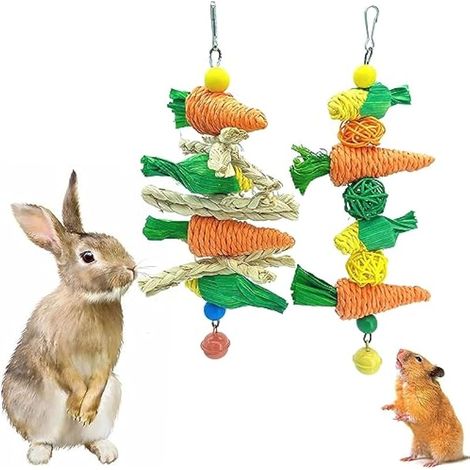 Lot de 2 jouets à mâcher en rotin pour rongeurs, hamsters, chinchillas, rats, gerbilles (1/5)