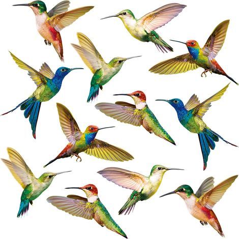 Set mit 12 Antikollisions-Fensteraufklebern, Kolibri- und Vogelmotiv, Glasdekoration (1/5)
