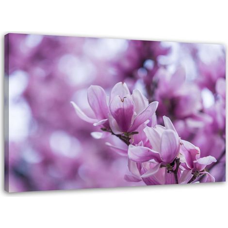 Tableau sur toile Magnolia en fleur Nature 60x40 (1/5)