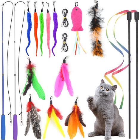 Lot de jouets interactifs pour chat avec cannes à pêche extensibles et accessoires variés (1/5)