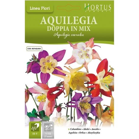 Aquilegia doppia mix DB