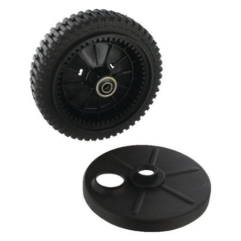 Rad 53 zähne AYP - SEARS - ROPER 700953