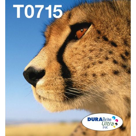 Epson Multipack 4-colours T071 EasyMail (1/5)