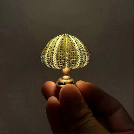 Lampadaire coquillage artisanal, veilleuse océanique pour décoration marine, éclairage d'ambiance créatif, design inspiré de la plage, idéal pour chambre. (1/2)
