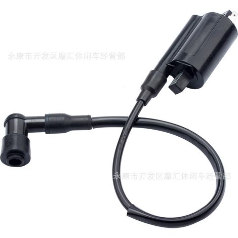 Suitable for John Deere 4X2 6X4 Gator Gas Homologated high-voltage coil ignition coil (1/5)