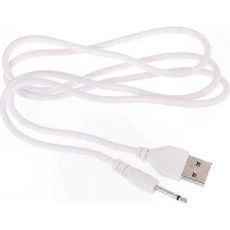 Câble de charge USB DC 2,5 mm pour sextoys et vibromasseurs rechargeables pour adultes