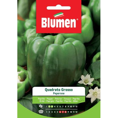 Blumen. Semi di Peperone Grosso Quadrato